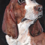 bassett
