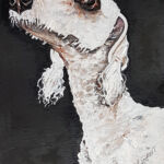 bedlington terrier