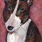 english bull terrier